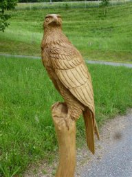 tj13-14 pferde titel oeschs 168